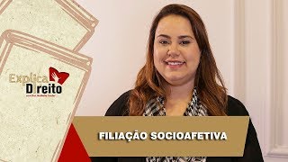 Explica Direito Filiação Socioafetiva  2019 [upl. by Ecneret]